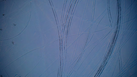 car tire tracks on ice.の写真素材