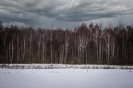 winter landscape in the countryside.