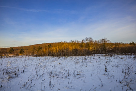 winter landscape in the countryside.の写真素材