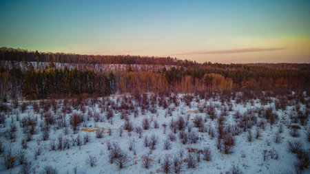 aerial photo of wildlife in spring.