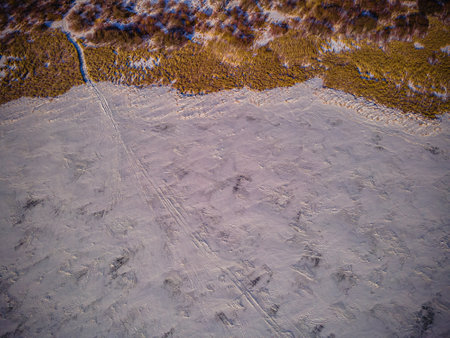 aerial photo of wildlife in spring.