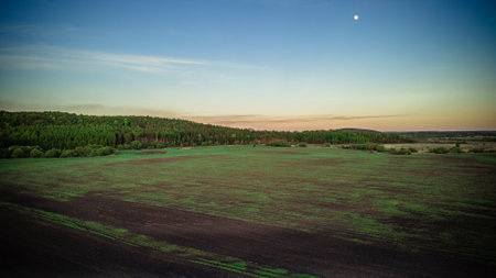 landscape of summer wildlife in the countryside.