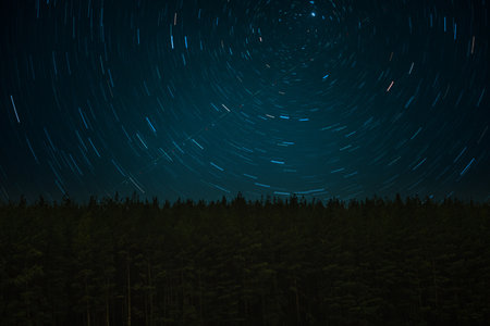 star tracks over the pine forest.