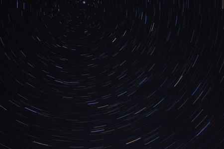 star tracks over the pine forest.