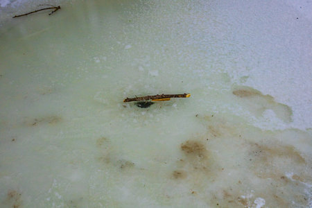 winter fishing on the river in the cold.の写真素材