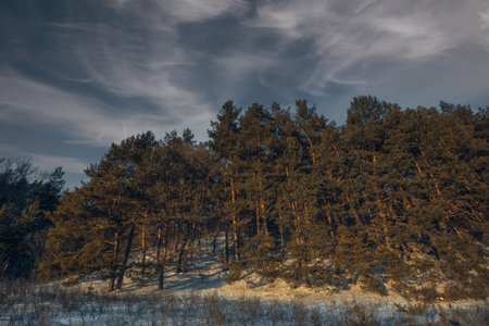 winter nature in the Russian countryside.