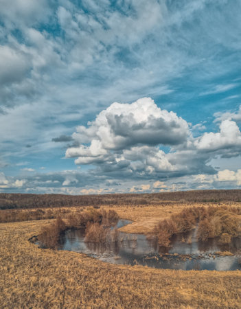 early spring on the river in high water.