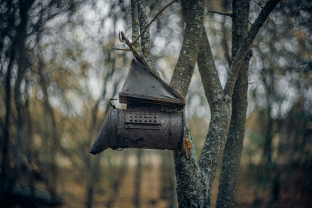 beekeeping in autumn in the village.
