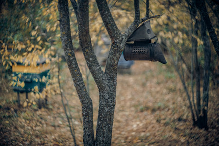 beekeeping in autumn in the village.の写真素材