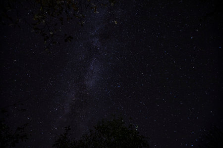 night starscape in the countryside.の写真素材