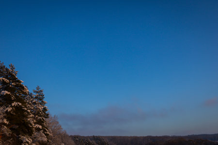 A winter evening in the wild.の写真素材