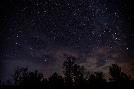 night starscape in the countryside.