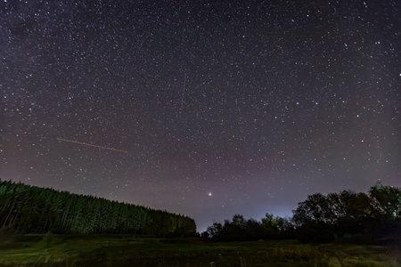 night starscape in the countryside.