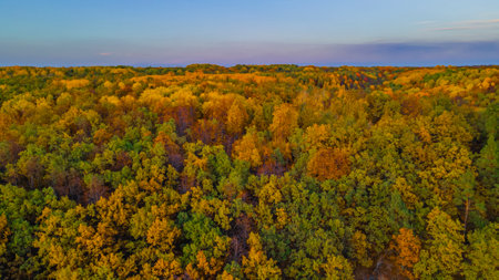 warm autumn in rural areas.の写真素材