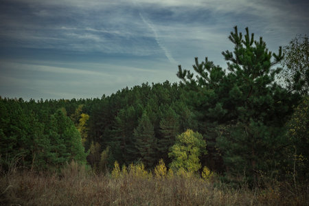 starscape in the countryside.の写真素材