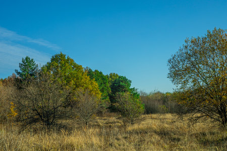 warm autumn in rural areas.の写真素材