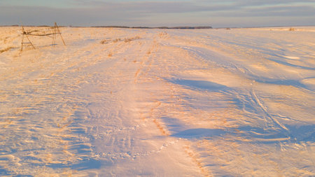 snow-covered winter fields in the cold in the sun.の写真素材