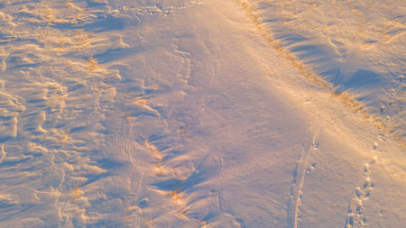 snow-covered winter fields in the cold in the sun.の写真素材
