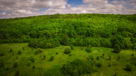 aero landscape of a green summer forest.の写真素材
