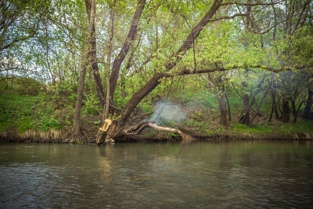A tree on the river burns after a lightning strike.の写真素材