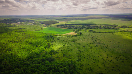 aero landscape of a green summer forest.の写真素材