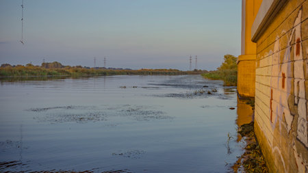 The Prigolya River in summer in the Kaliningrad region.