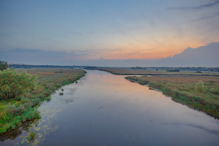 The Prigolya River in summer in the Kaliningrad region.