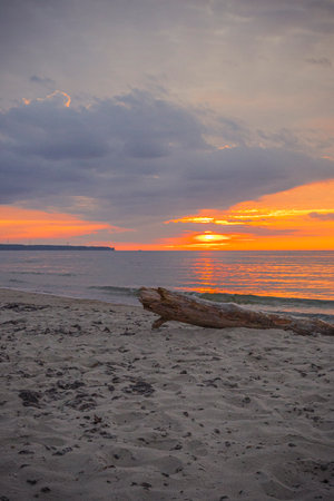 Baltic Sea beach at sunset.の写真素材
