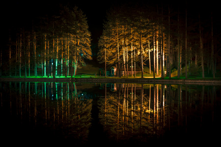 Reflection of trees in the lake at night