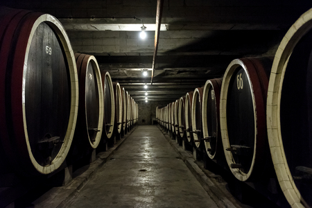 Barrel rows in a winery wine cellarの写真素材