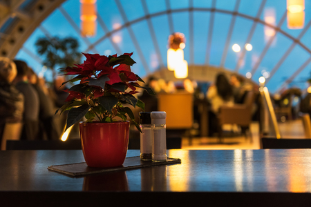 Beautiful restaurant setup with Poinsettia (Christmas Star) flower decorationの写真素材