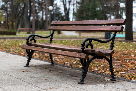 Wooden bench in autumn park with leaves, selective focusの写真素材