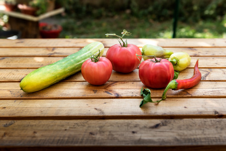 Organic Vegetables from a Small Garden on a Rustic Wooden Table - Tomatoes, Cucumber, Paprika, Bell Pepper, Chili Pepperの写真素材