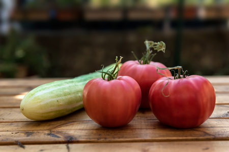 Organic Vegetables from a Small Garden on a Rustic Wooden Table - Tomatoes and Cucumberの写真素材