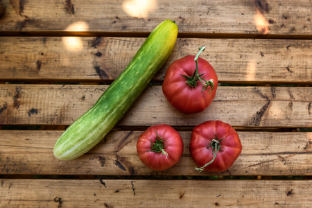 Organic Vegetables from a Small Garden on a Rustic Wooden Table - Tomatoes and Cucumberの写真素材