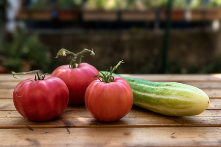 Organic Vegetables from a Small Garden on a Rustic Wooden Table - Tomatoes and Cucumberの写真素材