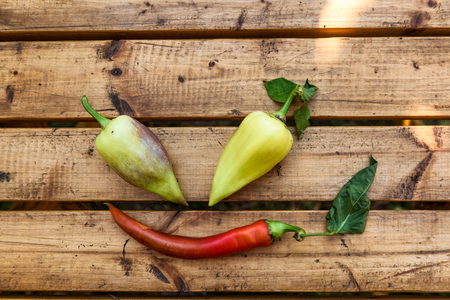 Organic Vegetables from a Small Garden on a Rustic Wooden Table - Bell Peppers and Chili Pepperの写真素材