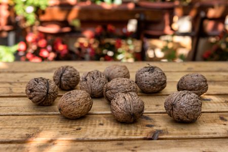 Organic Walnuts from a Small Garden on a Rustic Wooden Tableの写真素材