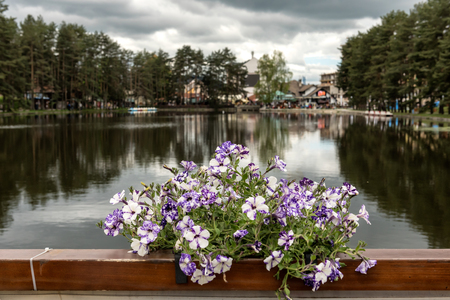 Beautiful evening lake view in Zlatibor, Serbiaの写真素材