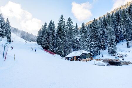 Kopaonik, Serbia - January 30, 2020: Skiers and Snowboarders on a ski piste in Kopaonik ski resort, the largest ski resort in serbia with 36 km of pistesのeditorial素材