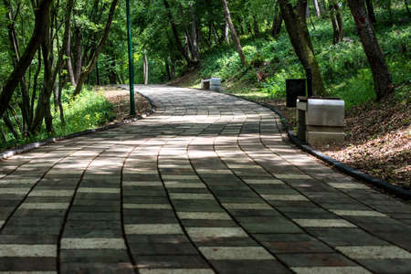Park walkway with benches in the spring. Cool shaded walking area.の写真素材