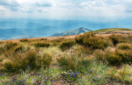 Mountain landscape view. Mountain layers landscape. Meadows and mountains landscape. Blue mountains layers landscape. Top of the Mountainsの写真素材