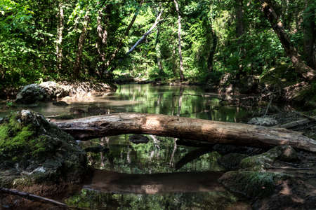 Boulder bridge in the crystal clear water right after the Ripaljka waterfall on a river Gradasnica, Mount Ozren, South Serbiaの写真素材