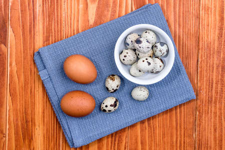 Quail eggs in white ceramic bowl on blue kitchen cloth. Top view. Detailed closeup of spotted quail eggs, rustic wooden backgroundの写真素材