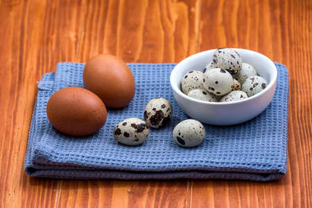 Raw chicken eggs and small quail eggs on blue kitchen cloth. Chicken and quail eggs rustic background.の写真素材