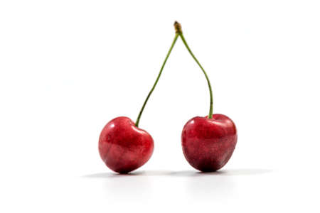 Fresh red cherry isolated on white. Cherry fruit with copy space for text. Sweet cherry isolated on white background cutout. Two fresh cherries on white background.の写真素材