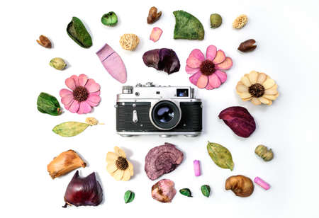 Old vintage camera surrounded with artificial flowers, dried flowers, leaves and plant details. Product photography conceptの写真素材