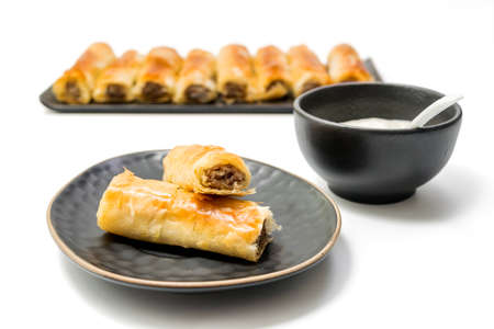 Meat rolls pastry - fried minced pork meat in spring rolls in an oval plate with a bowl of tartar sauce and stack og rolls in the background, selective focus, isolated on white background with clippinの写真素材