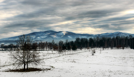 Snowy winter scene with range of mountains In the background. Mountains scenery on a cloudy winter day.の写真素材