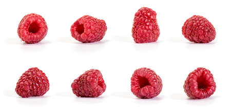 Raspberry isolated on white background. Collection bf Raspberries, each one shot separatelyの写真素材